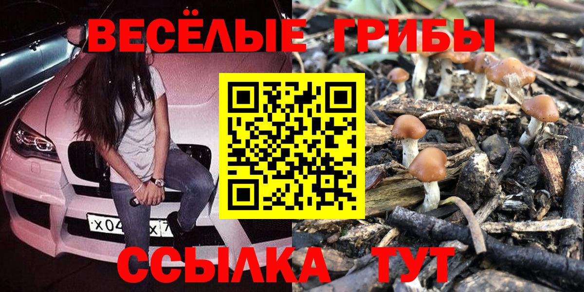 Псилоцибиновые грибы Cubensis  закладки  Ирбит  Вход с VPN 
